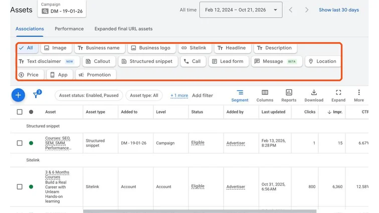 Google Ads assets view