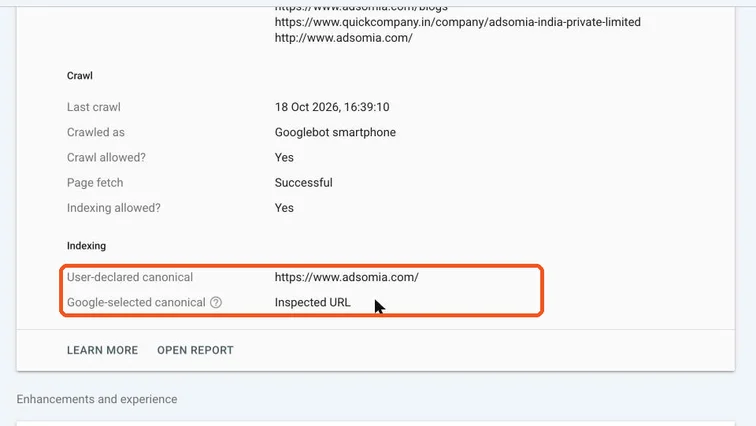 Page indexing details with user-declared canonical and Google-selected canonical highlighted