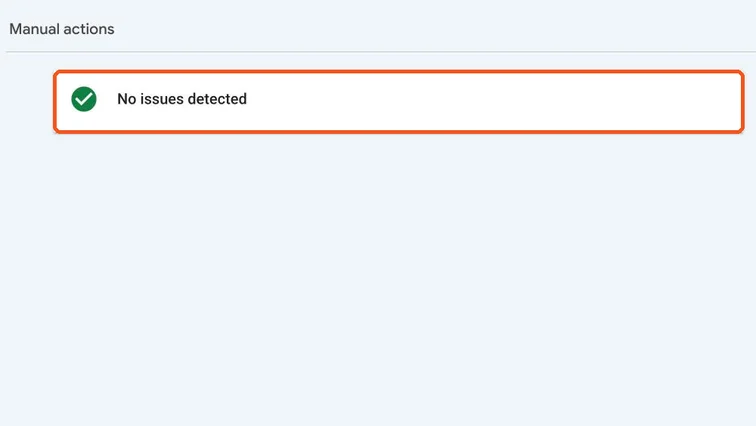Manual actions report showing No issues detected